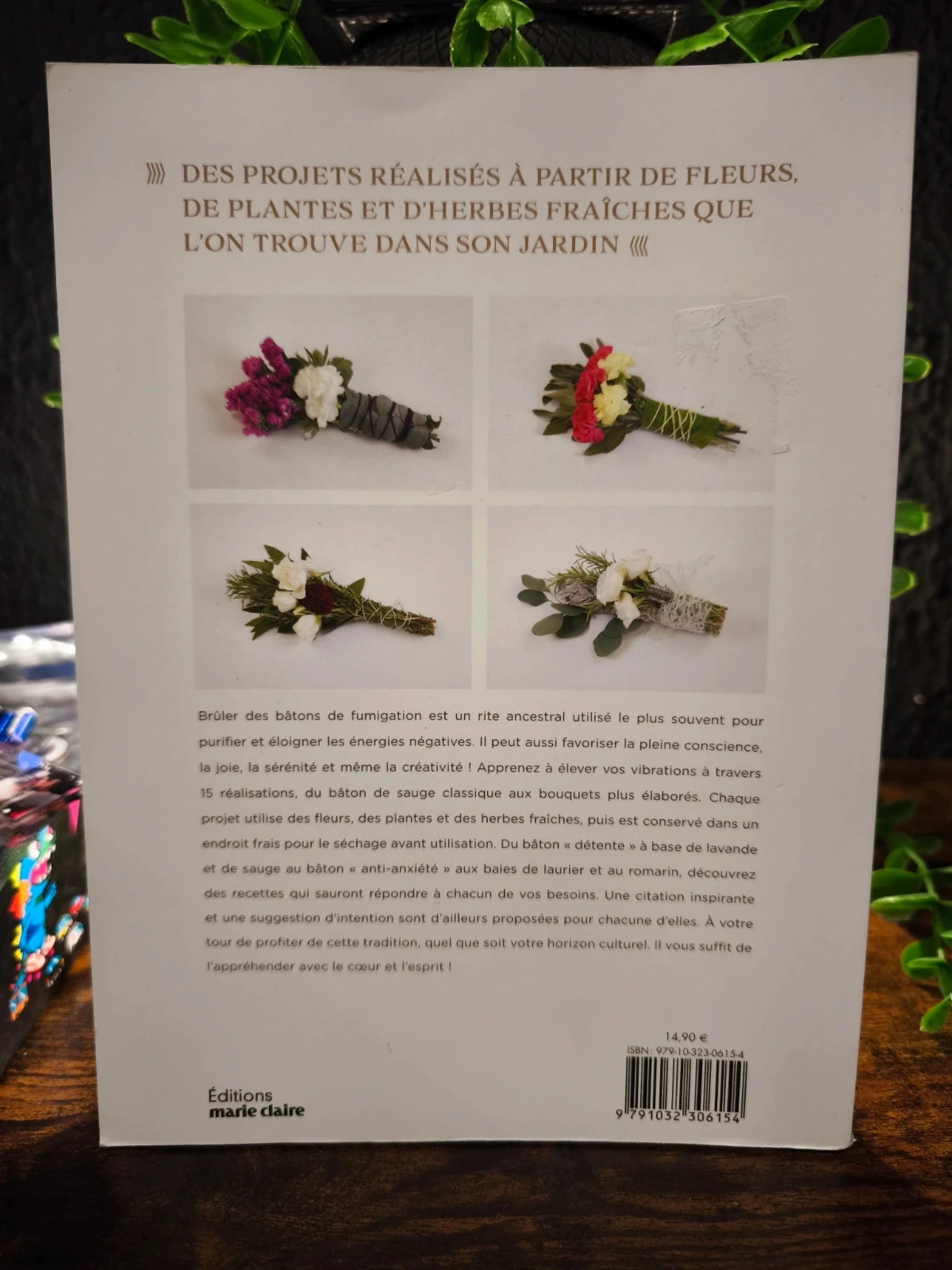 Purifique seu interior – photo 2